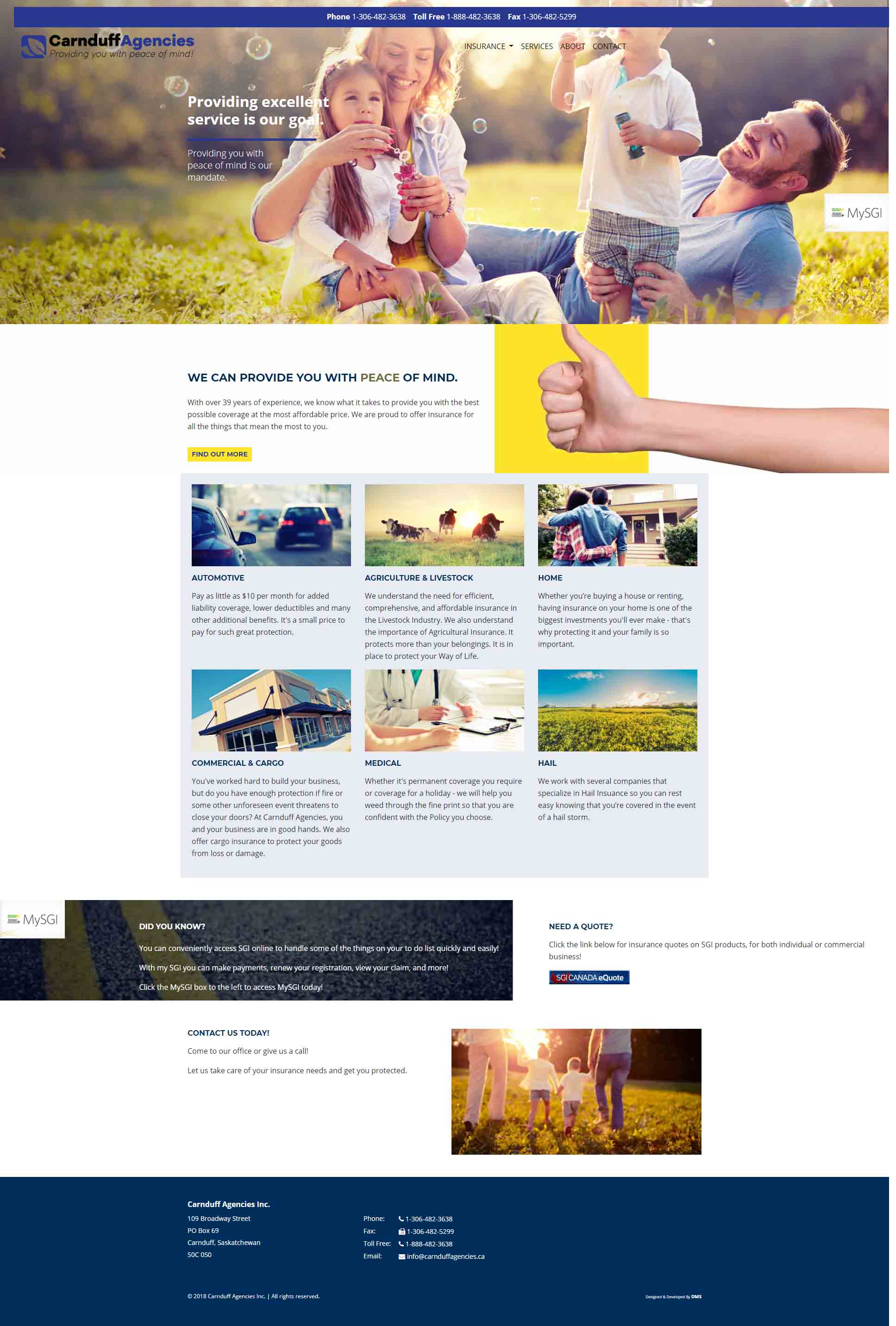 DMS Services Website Portfolio - Carnduff Agencies Inc.